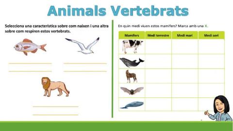 Animals Vertebrats i Animals Invertebrats