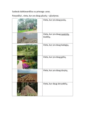 Daiktavardžiai su priesaga -ynas