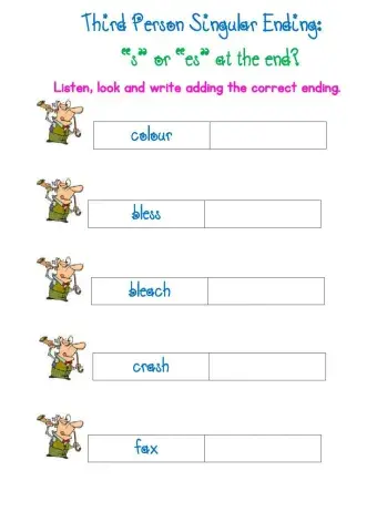 Third Person Singular Present Tense Rules 2