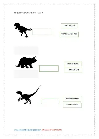Dinosaurios