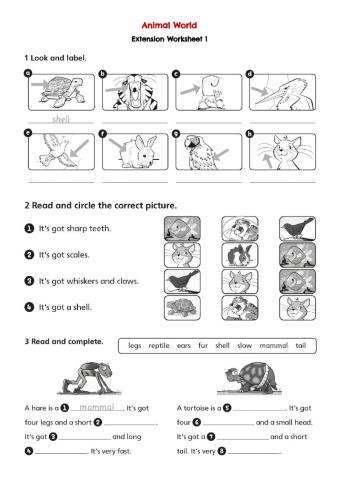 Animal World Vocabulary Practice