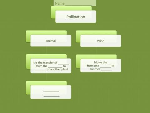 Unit 4 Pollination Complete Scheme