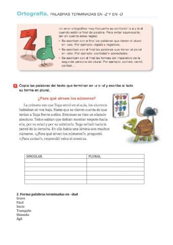 Palabras terminadas en -z y -d