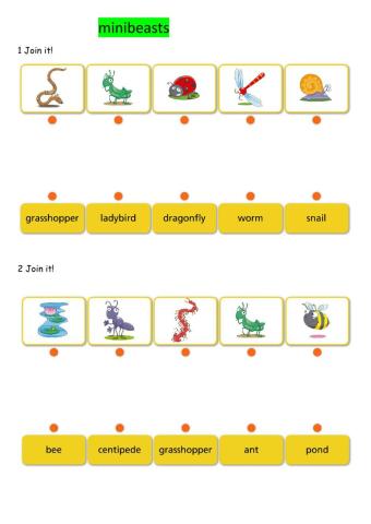 Minibeasts
