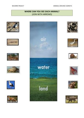 Animals: air-water-land