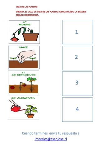 Ciclo de vida de la planta