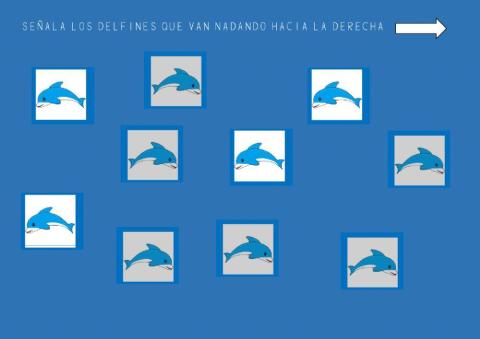 Ficha izquierda-derecha delfines