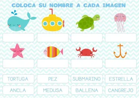 Nombres animales marinos.
