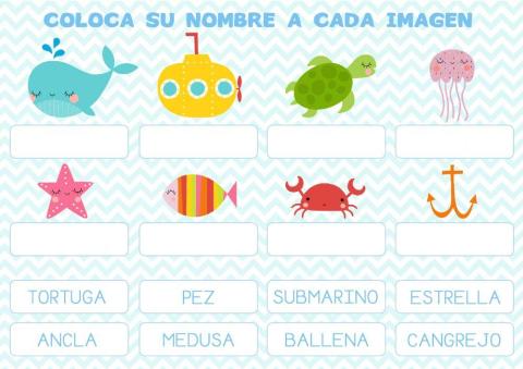 Nombres animales marinos.