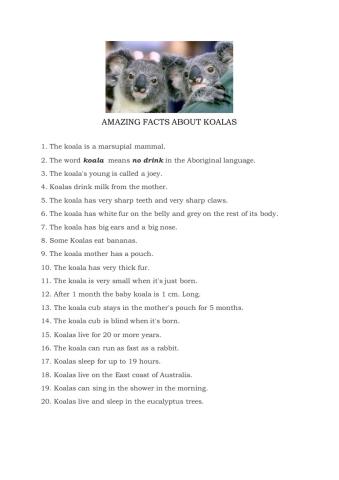 Amazing facts about koalas
