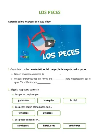 Los peces