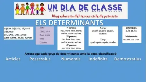 Els determinants