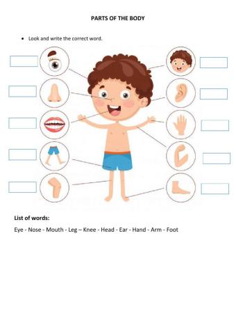 Parts of the body