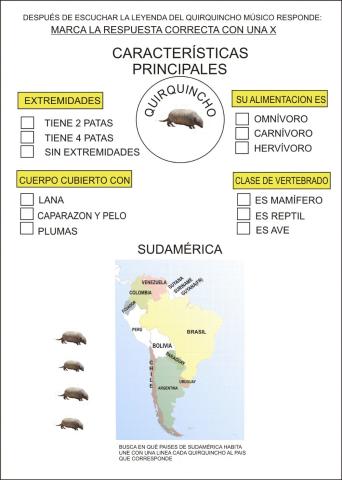 El quirquincho en sudamérica