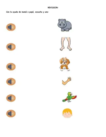 Animals and Parts of the body - Revision