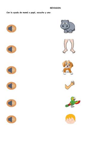 Animals and Parts of the body - Revision