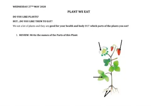 Plants We Eat