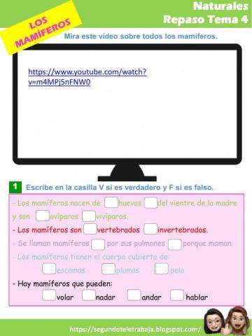 Los mamíferos