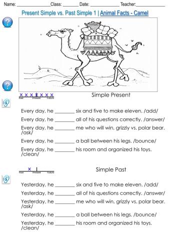 Present Simple vs. Past Simple 1 - Animal Facts - Camel