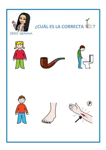 Lectura global:letra P