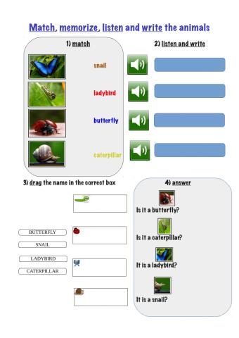 Match, memorize, listen and write cod 10