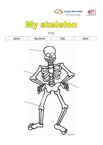 My skeleton