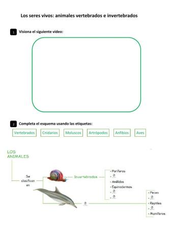 Animales vertebrados e invertebrados