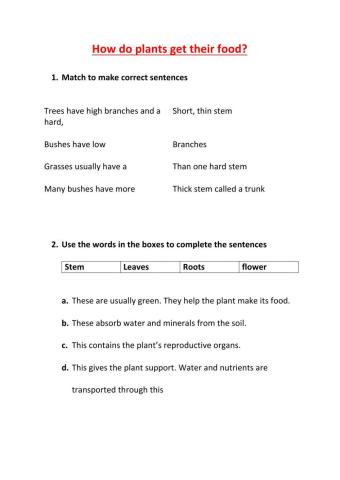 3rd grade naturales unit 4