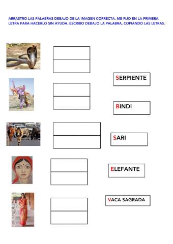 MEENA imagen palabra