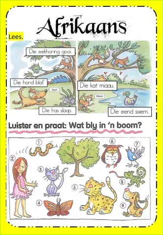 Afrikaans W15 Thursday