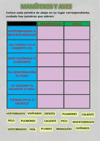 Caraacterísticas mamíferos y aves