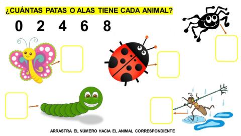 Los Insectos