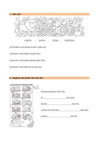 Bene-Benetan4º-tema6-azterketa