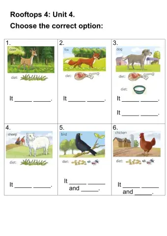 Rooftops 4: Unit 4 - Choose and write (eats-drinks + vocabulary)