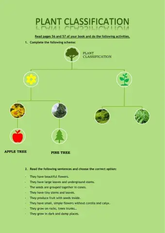 Plants classification