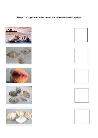 Μετρώ τα κοχύλια και συμπληρώνω τον αριθμό