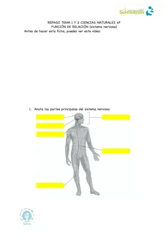 Función de relación y nutrición