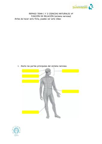 Función de relación y nutrición