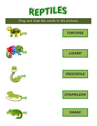 Reptiles: Drag and drop