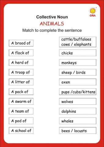 Match the Collective Noun - Animals