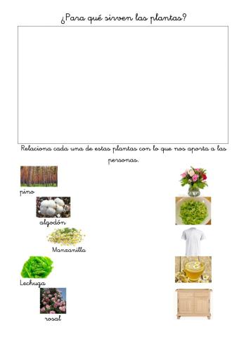 Utilidades de las plantas