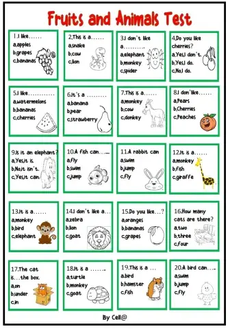 Fruits and Animals Test