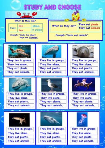 Study and choose. Sea animals