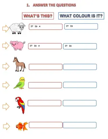 What's this? What colour is it?