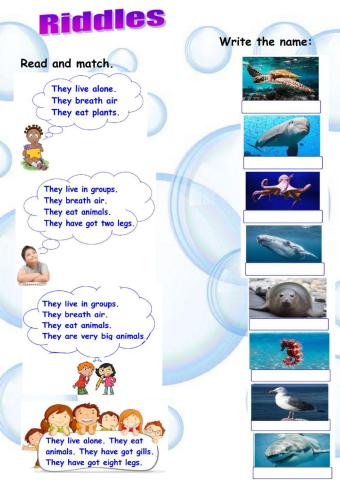Riddles. Sea animals