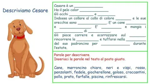 Testo descrittivo :animale