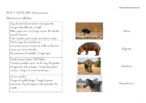 Adivinanzas animales