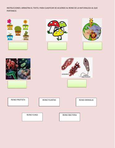 Los reinos de la naturaleza