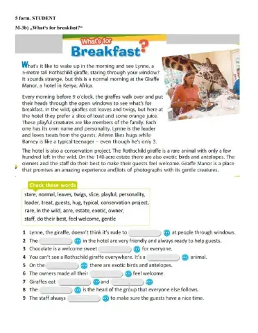 What's for breakfast?