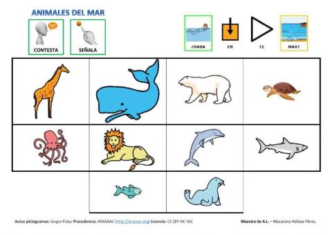 Identifica animales del mar